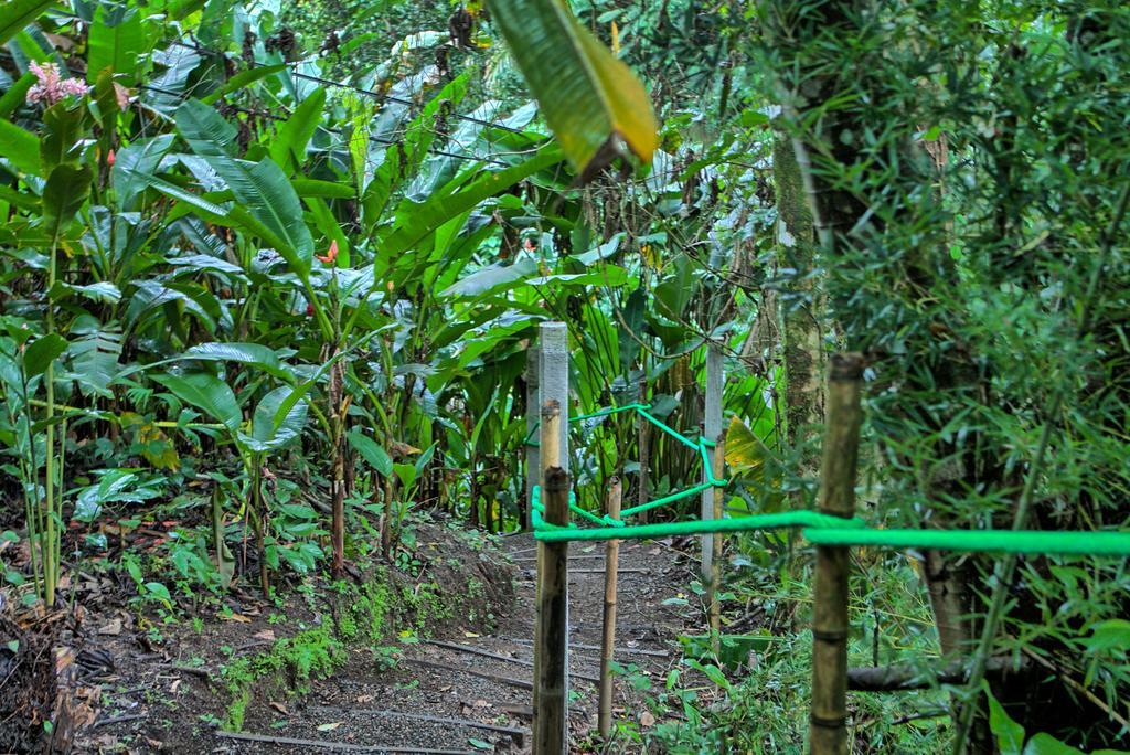 Hotel Mountain Paradise La Fortuna Eksteriør billede